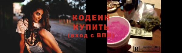 хмурый Арсеньев