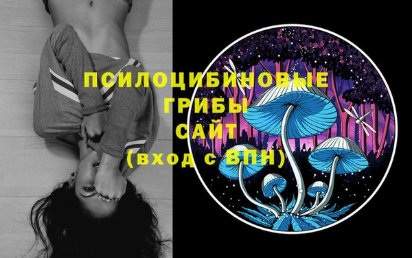 прущие грибы Армянск
