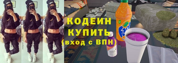 хмурый Арсеньев