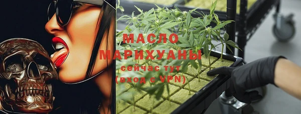 хмурый Арсеньев
