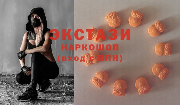 хмурый Арсеньев